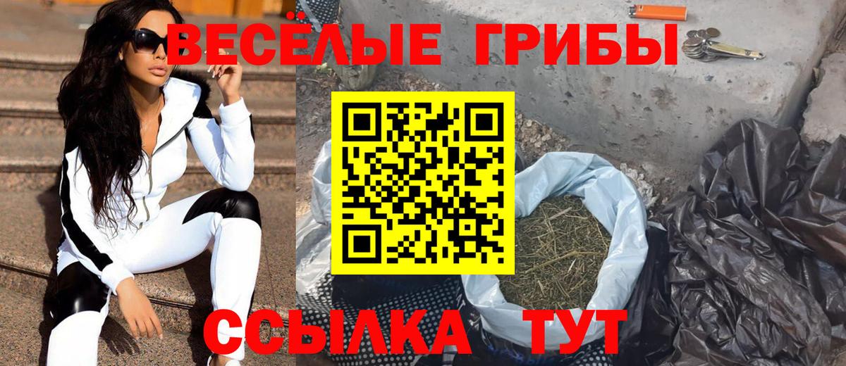 Псилоцибиновые грибы Psilocybine cubensis  Вход с VPN  Дивногорск 
